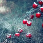 ¿Qué significan las esferas de Navidad?